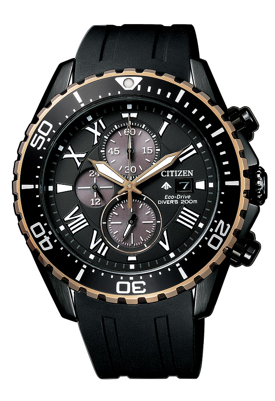 promaster diver titanium
